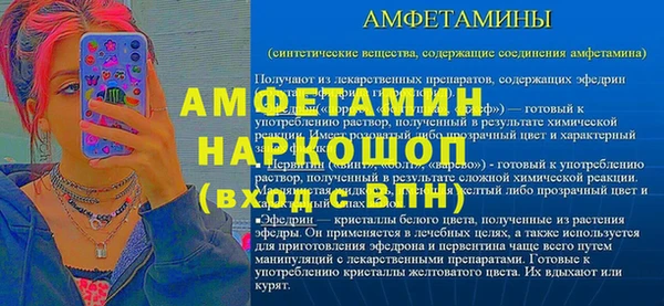 прущие грибы Верхний Тагил